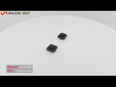 62 graad 0.3MP 24 pin VGA DVP vaste focus CMOS camera module GC0309