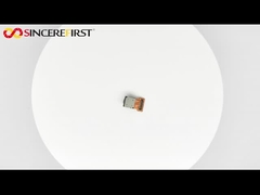 Mini HM0360 mIPI VGA Camera Module Achteruit verlicht Ultralaag vermogen