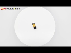 Oprechte eerste hoge pixel 20mp IMX376 Sensor Mini MIPI -cameramodule